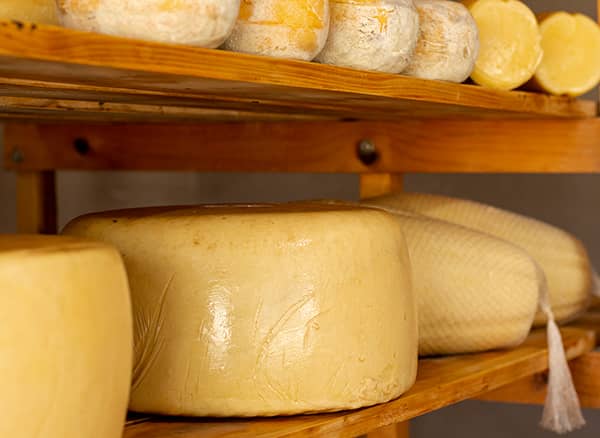 Mare Handel GmbH Käse Großhandel